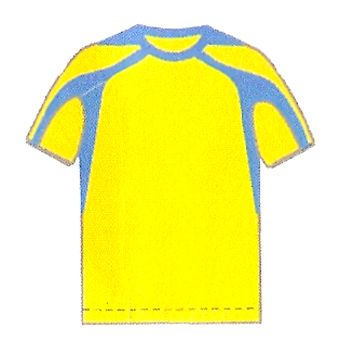 Gold Royal Blue Men's and Youth Short Sleeve Soccer Jersey