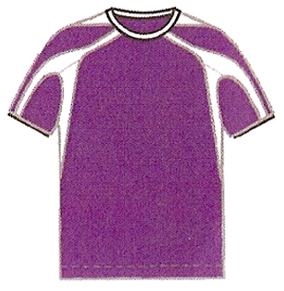 Purple White Men's & Youths Short Sleeve Soccer Jersey