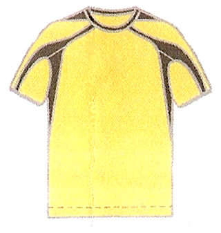 Varsity Gold Black Men's & Youth's Short Sleeve Soccer Jersey